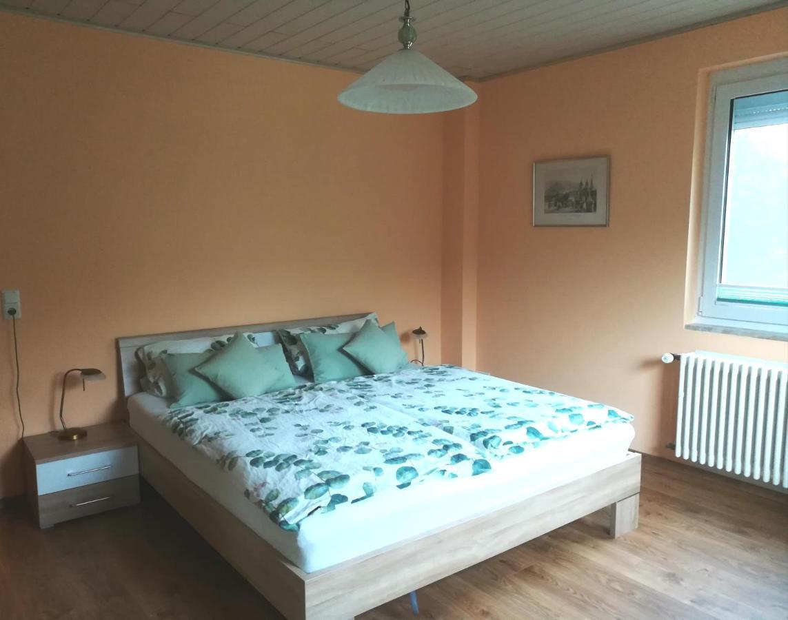 Nichtraucherferienwohnung-Neckarblick Ze-2022-74-Wz-118A Χαϊδελβέργη Εξωτερικό φωτογραφία