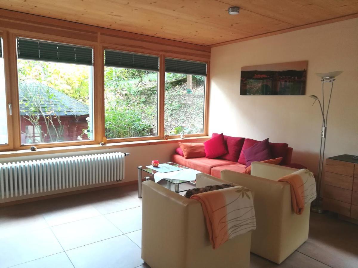 Nichtraucherferienwohnung-Neckarblick Ze-2022-74-Wz-118A Χαϊδελβέργη Εξωτερικό φωτογραφία