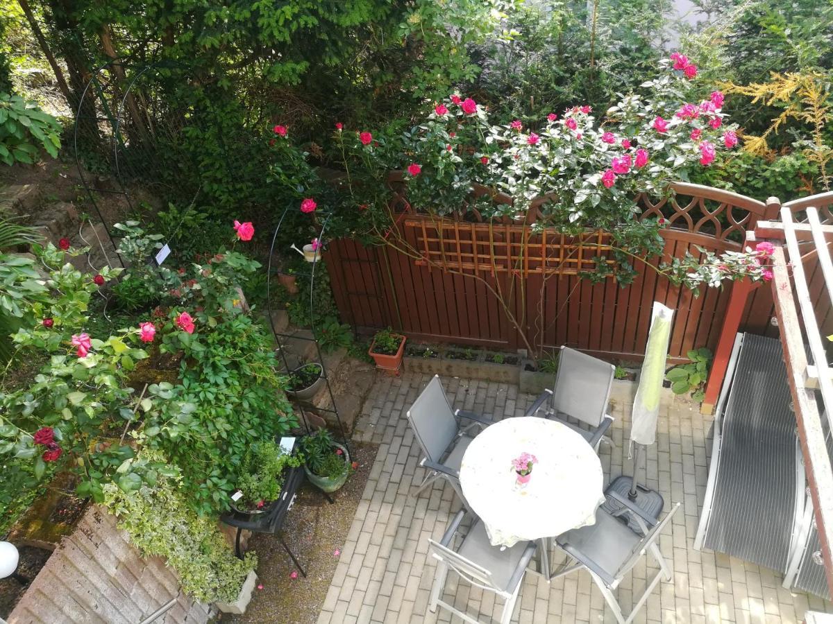 Nichtraucherferienwohnung-Neckarblick Ze-2022-74-Wz-118A Χαϊδελβέργη Εξωτερικό φωτογραφία