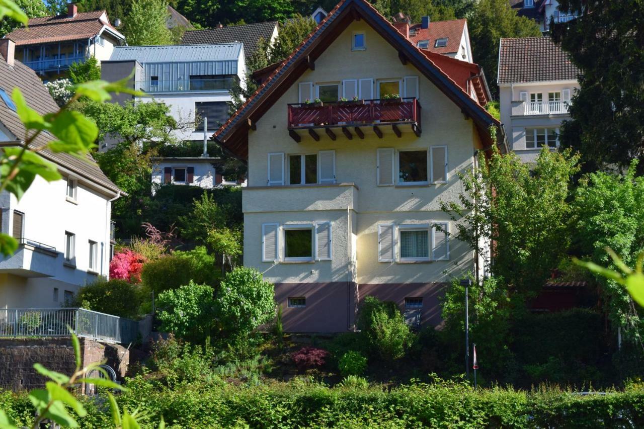 Nichtraucherferienwohnung-Neckarblick Ze-2022-74-Wz-118A Χαϊδελβέργη Εξωτερικό φωτογραφία