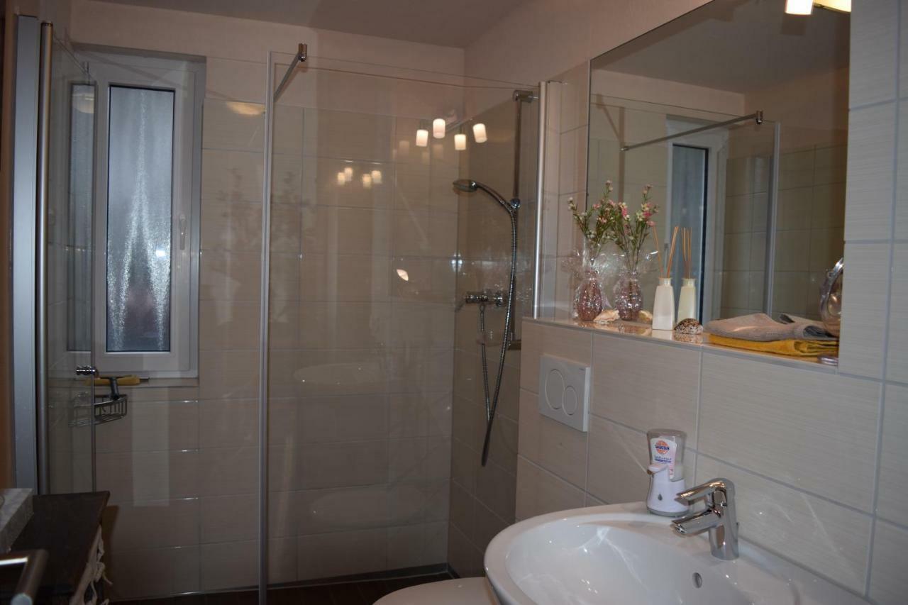 Nichtraucherferienwohnung-Neckarblick Ze-2022-74-Wz-118A Χαϊδελβέργη Εξωτερικό φωτογραφία