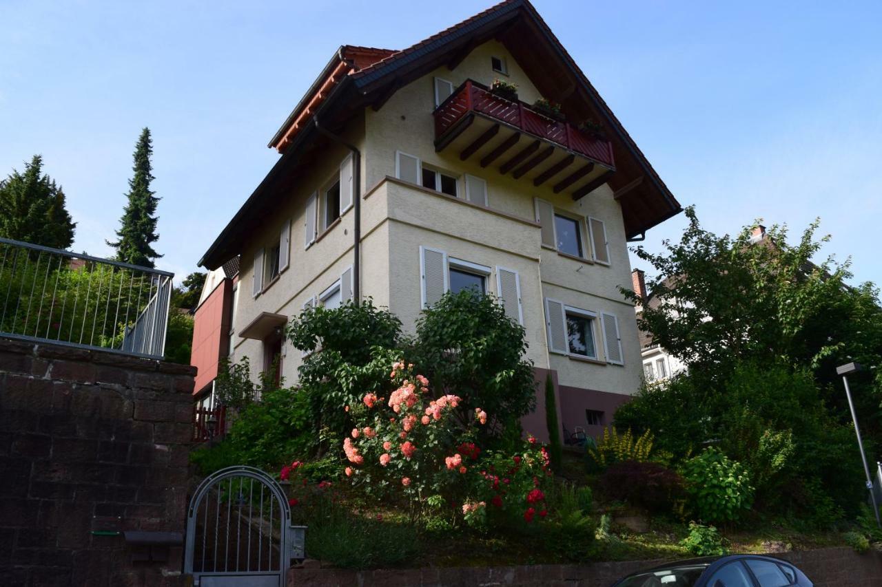 Nichtraucherferienwohnung-Neckarblick Ze-2022-74-Wz-118A Χαϊδελβέργη Εξωτερικό φωτογραφία