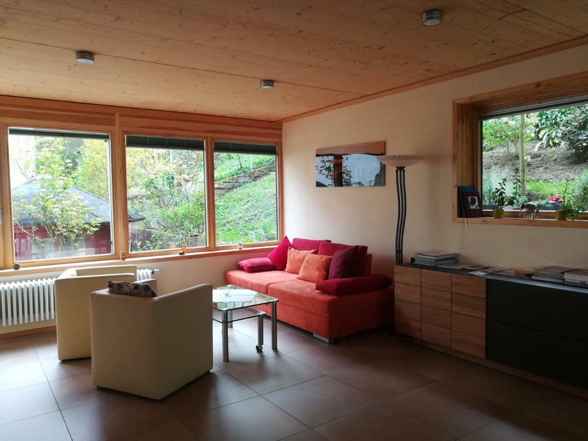 Nichtraucherferienwohnung-Neckarblick Ze-2022-74-Wz-118A Χαϊδελβέργη Εξωτερικό φωτογραφία